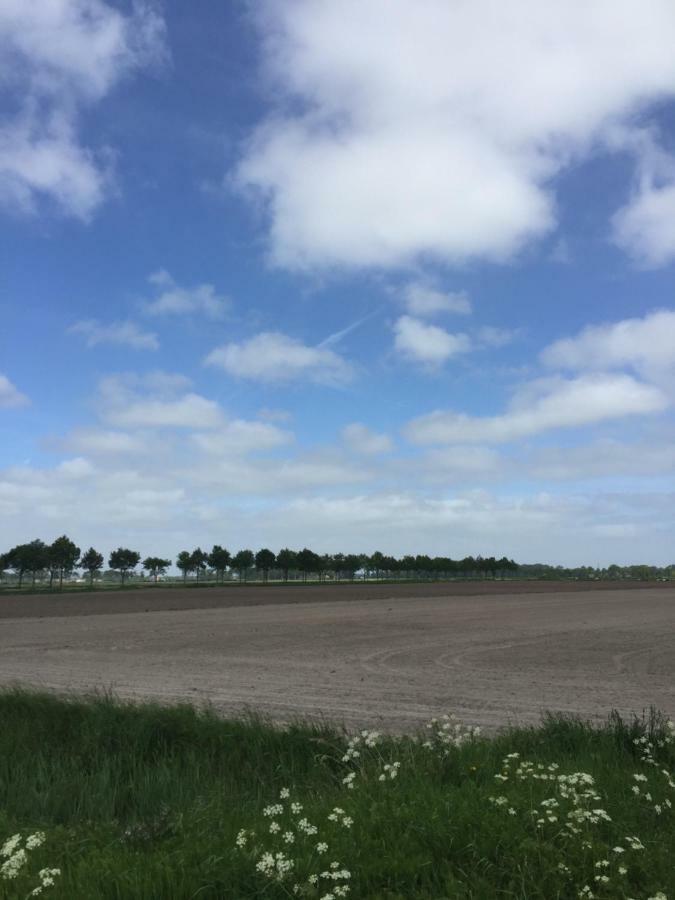 Residence De Kaaipoort Appartementen アールデンブルグ エクステリア 写真